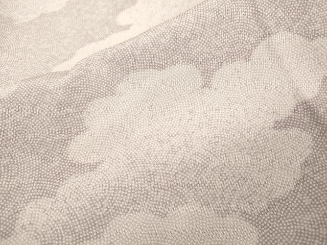 平和屋着物▽江戸小紋 単衣 作家物 鮫小紋柄 雲文 正絹 逸品 DABD5903fe
