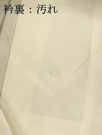 平和屋着物■訪問着 ふくれ織 花蝶文 金彩 正絹 逸品 DABD6738cm