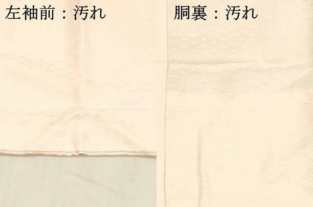 平和屋着物■長襦袢 無双仕立て 絞り 舞花文 虹色 正絹 逸品 DABD6848cm