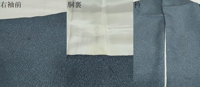 平和屋着物●京友禅の第一人者 松井青々 色留訪問着 名所風景文 暈し染め 金彩 正絹 逸品 DABD9400ud