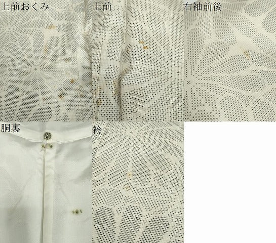 平和屋着物●本場大島紬 白大島 9マルキ 花尽くし文 証紙付き 正絹 逸品 DABD9771ud