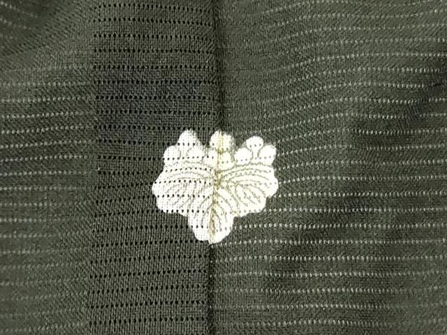 平和屋着物*夏物 黒留袖 絽 尾長鳥 金彩 洗える着物 DABE1415op