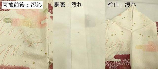 平和屋着物■上質な小紋 エ霞文 金彩 正絹 逸品 DABE2777cd
