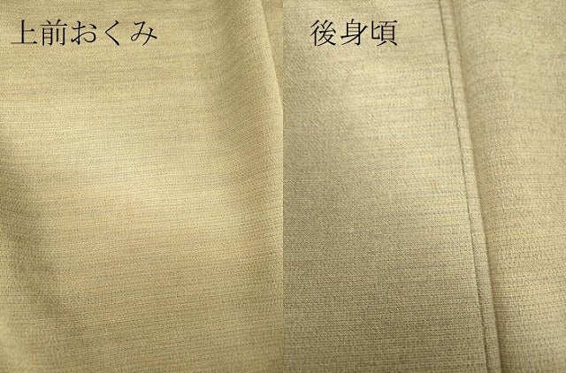 平和屋着物▽本塩沢 やまだ織 訪問着 染色作家 桐村博 単衣 雪の中のきれ 霞文 証紙付き 正絹 逸品 未使用 DABE4832az