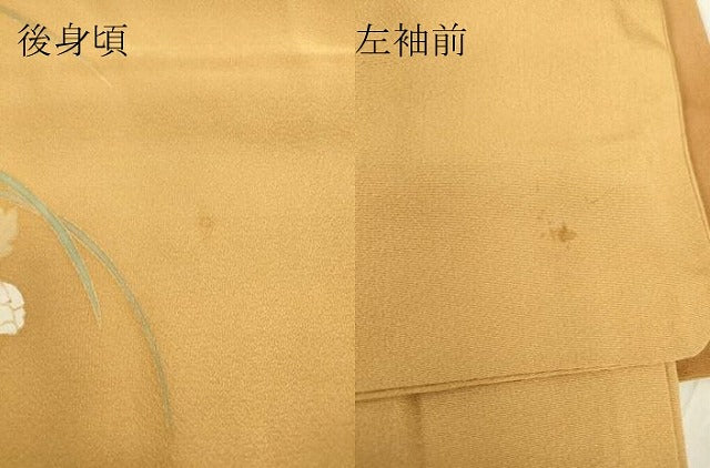 平和屋着物▽訪問着 単衣 牡丹文 暈し染め 金彩 正絹 逸品 DABE4998az