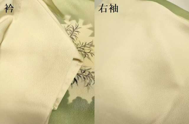 平和屋着物▽訪問着 単衣 手描き 尾長鳥鴛鴦文 暈し染め 正絹 逸品 DABE9833du