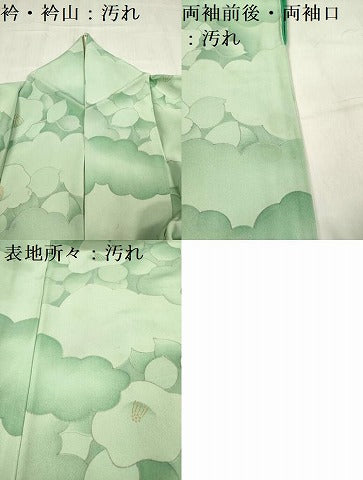 平和屋着物■上質な小紋 手描き 雲重ね椿文 金彩 正絹 逸品 DABF0050ea