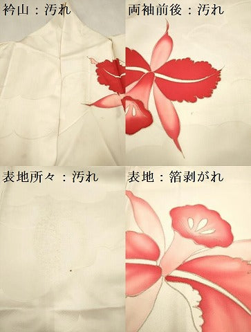 平和屋着物■豪華振袖 日の出蘭 ヒノデラン 金彩 正絹 逸品 DABF0515ea