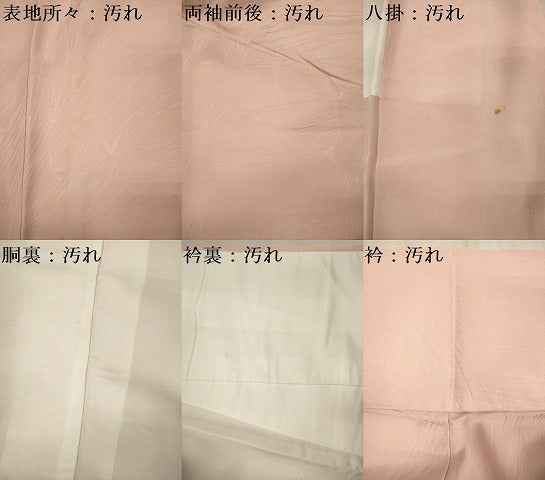 平和屋着物■上質な色無地 芝草地紋 虹色 正絹 逸品 DABF0627ya