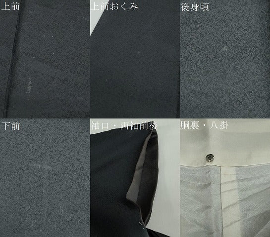 平和屋着物●訪問着 舞蝶文 鷺 暈し染め 金銀彩 さが美扱い 正絹 逸品 DABF1253ud
