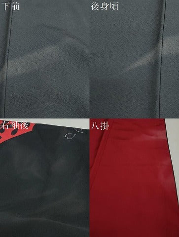 平和屋着物●豪華振袖 舞桜文 黒地 金彩 正絹 逸品 DABF1272ud