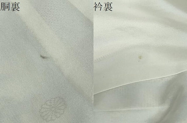 平和屋着物●本場大島紬 白大島 9マルキ 総絣 笹竹文 正絹 逸品 DABF1436ud
