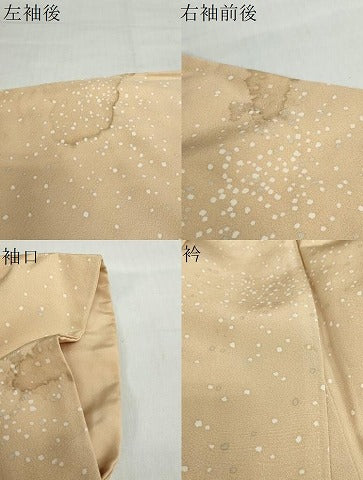 平和屋着物●上質な小紋 箔散らし文 正絹 逸品 DABF1534ud