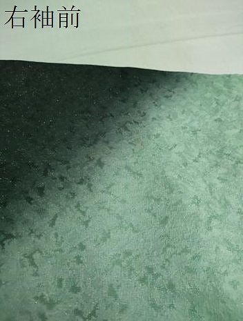 平和屋着物●豪華振袖 草花文 暈し染め 黒地 金通し地 正絹 逸品 DABF1568ud