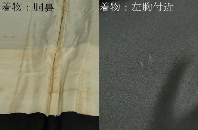 平和屋着物●男性 黒紋付 羽織セット 羽裏:花鳥絵皿文 正絹 逸品 DABF1714ud