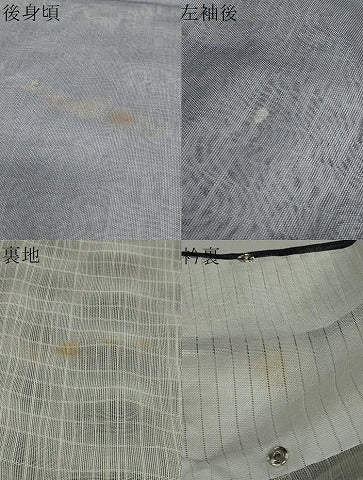 平和屋着物▽訪問着 無双 紗袷 紗×紗 枝葉文 正絹 逸品 DABF1967ud