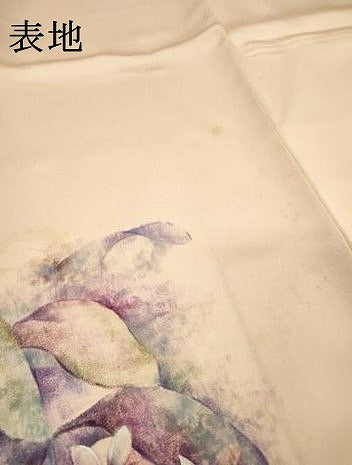 平和屋着物▼訪問着 手描き 枝花 正絹 逸品 DABF2783fe