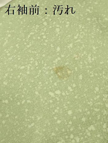 平和屋着物■訪問着 草花文 暈し染め 金彩 正絹 逸品 DABF3047op