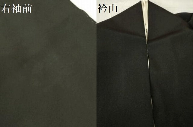 平和屋着物●京加賀友禅 松本健一 黒留袖 風景花文 暈し染め 正絹 逸品 DABF3184op