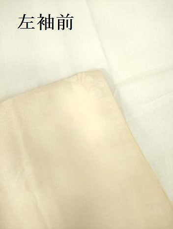 平和屋着物▼訪問着 手描き 桔梗 正絹 逸品 DABF3242op