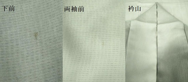 平和屋着物▽訪問着 単衣 無双 紗×絽 白鷺 シロサギ 暈し染め 金彩 ロング丈 正絹 逸品 DABF3666op