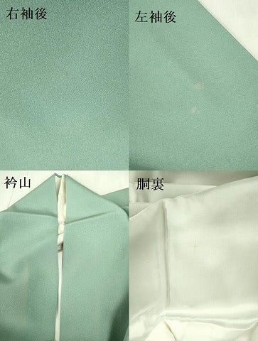平和屋着物●本場加賀友禅作家 杉浦伸 色留袖 風景花文 暈し染め 正絹 逸品 DABF3689op