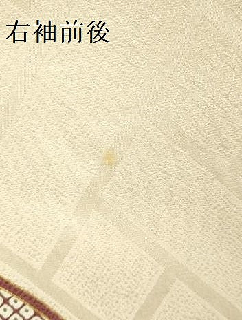 平和屋着物●訪問着 駒刺繍 更紗花菱文 金彩 ロング丈 正絹 逸品 DABF3995op