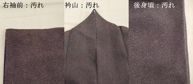 平和屋着物■伝統工芸師 服部光擴 江戸小紋 鮫小紋柄 鬼しぼ縮緬 正絹 逸品 DABF4252cd
