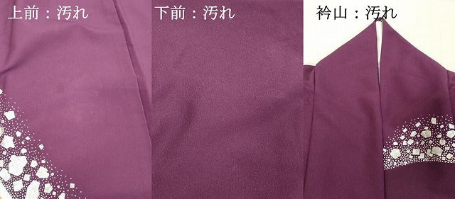平和屋着物■訪問着 箔散らし 銀彩 洗える着物 DABF4469cd