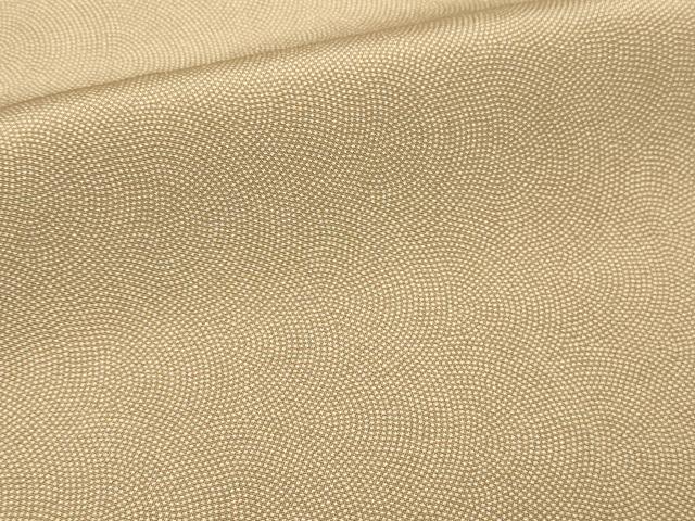 平和屋着物■江戸小紋 鮫小紋柄 伊勢型小紋 竹泉 正絹 逸品 DABF8728sf