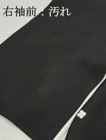 平和屋着物■豪華黒留袖 作家物 風景樹林文 暈し染め 金彩 正絹 逸品 DABF9110qa