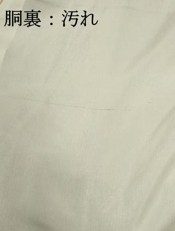 平和屋着物■江戸小紋 よろけ縞 高島屋扱い 正絹 逸品 DABF9309qa
