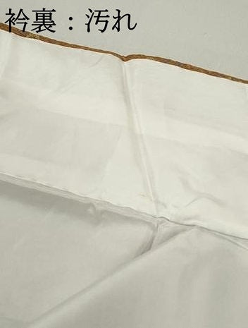 平和屋着物■上質な小紋 花間道 金彩 正絹 逸品 DABF9483qa