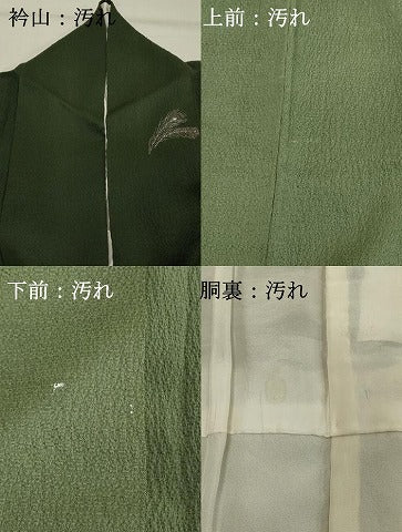 平和屋着物■訪問着 孔雀羽文 金彩 正絹 逸品 DABF9649cd