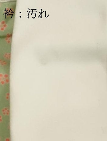 平和屋着物■長襦袢 無双仕立て 小花文 西武百貨店扱い 正絹 逸品 DABF9750cd