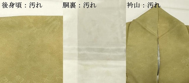 平和屋着物■江戸小紋 鮫小紋柄 草花文 暈し染め 正絹 逸品 DABF9818cd