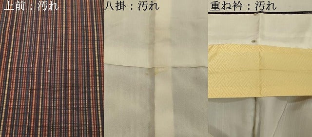 平和屋着物■上質な小紋 間道 正絹 逸品 DABF9952cd