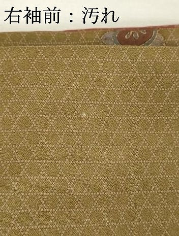 平和屋着物■上質な小紋 草花文 金彩 正絹 逸品 DABF9985cd