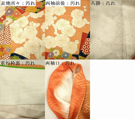平和屋着物■小振袖 二尺袖 駒刺繍 吉祥花文 枝梅 正絹 逸品 DABG1621ya