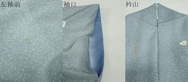 平和屋着物●洗える最高級着物 <英>はなぶさ謹製 小紋 舞花文 洗える着物 DABG2191ud