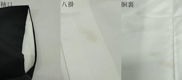 平和屋着物●洗える最高級着物 <英>はなぶさ謹製 色留袖 吉祥草花文 洗える着物 DABG2302ud