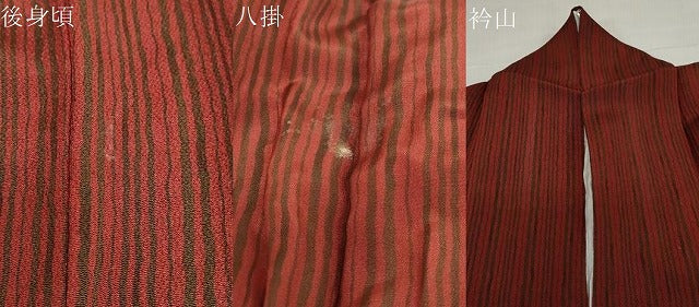 平和屋着物●色留訪問着 型染め 地紙花鳥文 鬼しぼ縮緬 正絹 逸品 DABG2362ud