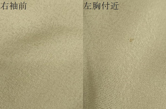 平和屋着物●訪問着 黄金繭 駒刺繍 草花丸文 金銀彩 さが美扱い 正絹 逸品 DABG2594ud
