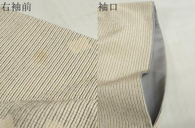 平和屋着物●本塩沢 箔散らし文 正絹 逸品 DABG2987ud