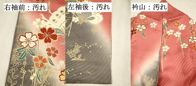平和屋着物■上質な小紋 駒刺繍 花蝶文 暈し染め 金彩 正絹 逸品 DABG4024qp