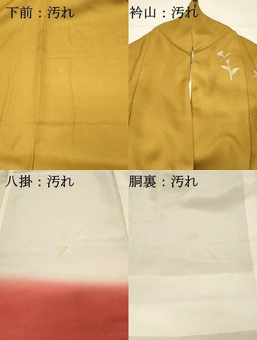 平和屋着物■訪問着 草花文 暈し染め 金銀彩 正絹 逸品 DABG4512qp