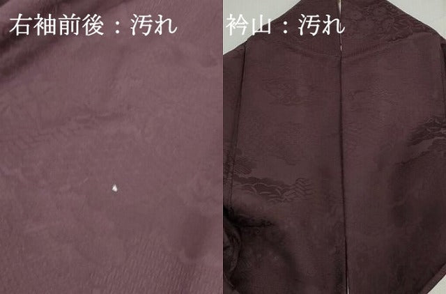 平和屋着物■上質な色無地 雲取り花地紋 紫鳶色 正絹 逸品 DABG4697qa