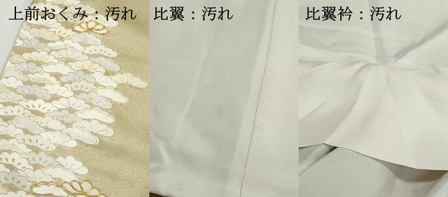 平和屋着物■豪華色留袖 駒刺繍 枝松文 金彩 正絹 逸品 DABG4775qa