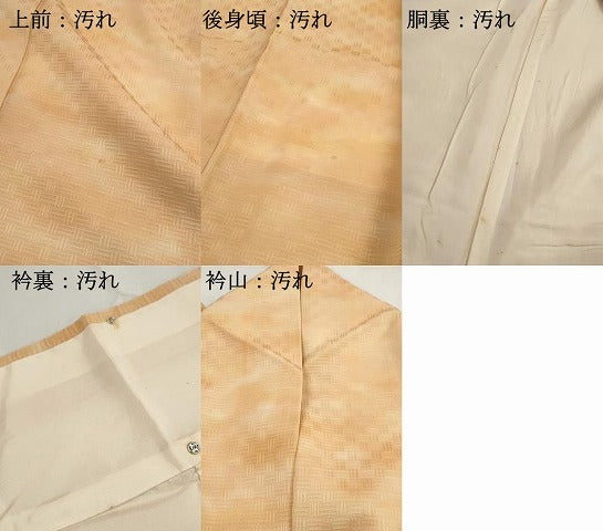 平和屋着物■上質な小紋 霞文 暈し染め 正絹 逸品 DABG4831qa
