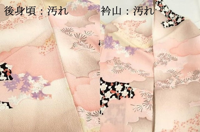 平和屋着物■上質な小紋 雲取り枝梅文 暈し染め 鬼しぼ縮緬 正絹 逸品 DABG4869qa